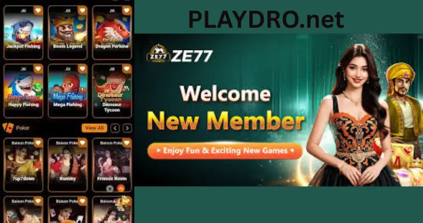 ZE77 Game Pakistan 2
