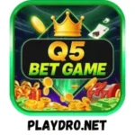 Q5bet Game Logo