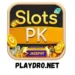 Slotspk game logo image (1)