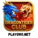 dragon Tiger Club game logo image (2)