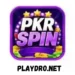 pkr spin game logo image (1) (1)