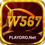 w567 game
