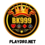bk999 game logo