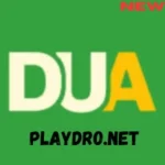 dua66 game logo
