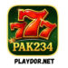 pak234 game logo image 2026 (1)