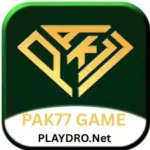 pak77 game logo
