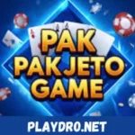 pakjeto game logo