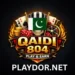 qaidi804 bet game logo image