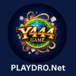 y444 game