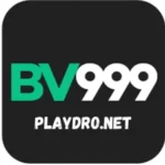 bv 999 game logo 2026